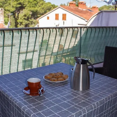 Apartment Nega 1 *