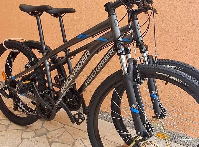 Apartmán Nega 1 Rovinj